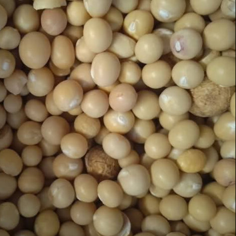 OKPA FLOUR