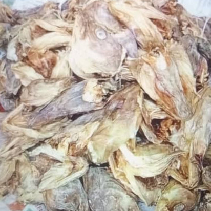STOCKFISH HEAD